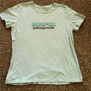 Patagonia Organic Cotton Tee in Soft Green